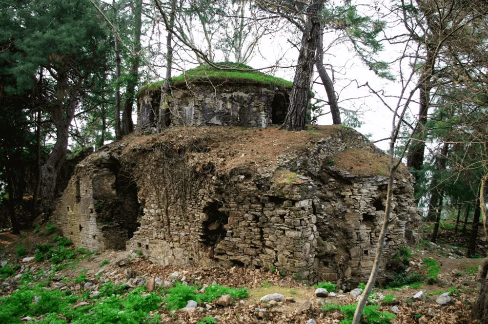 Джип Сафари: приключение в Национальном парке