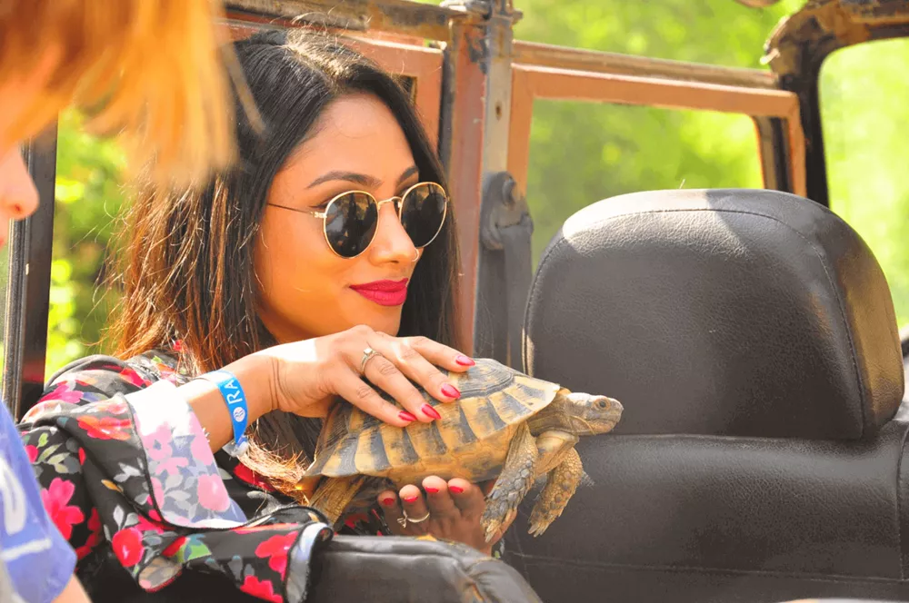 Джип Сафари: приключение в Национальном парке