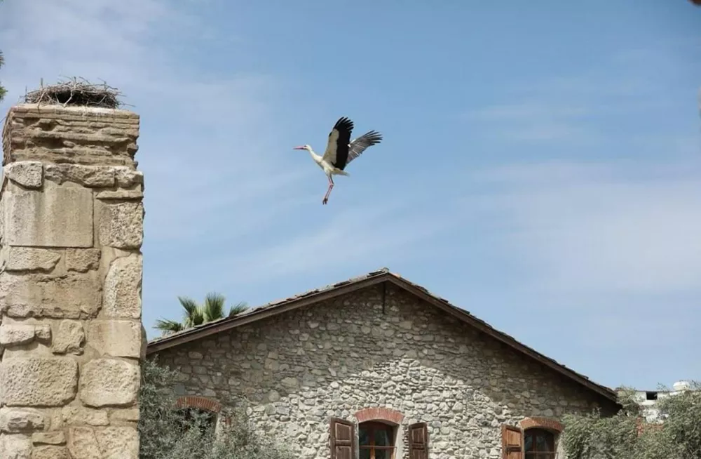 Шириндже: турецкий и греческий колорит