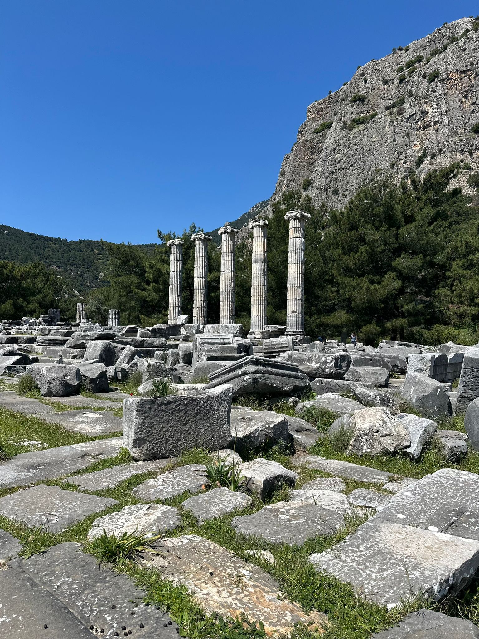 Экскурсия в Приена Милет и Дидиме